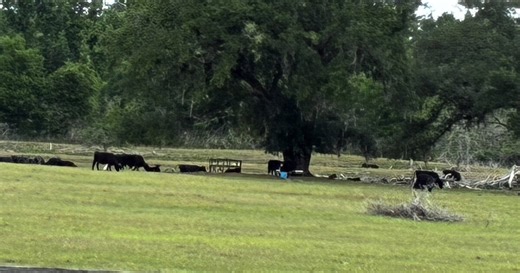 Madison County farmers feel impact of ongoing drought, fear costs could rise