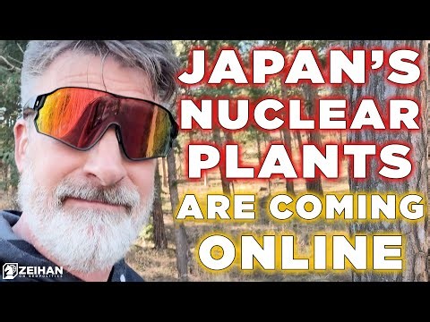 World's Largest Nuclear Plant Coming Back Online in Japan || Peter Zeihan