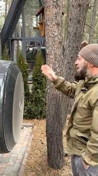 Когда Гелик поцарапал и друг говорит что в жизни это не главное 😐😂 #туи #ёлки #дизайнучастка #дом