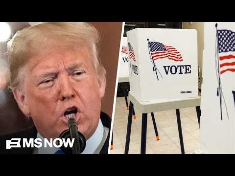 Americans 'have had enough of the bullying and craziness' from Trump: Political strategist