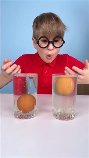 🌊 Easy Floating Egg Science Experiment #scienceforkids