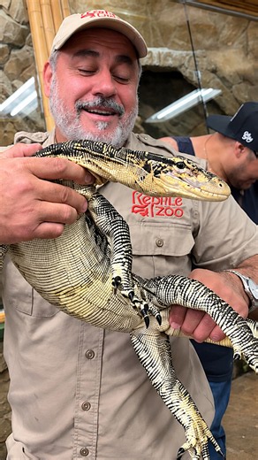 Monitor lizard goes all out for one treat