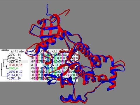 Day 02 Homology modelling