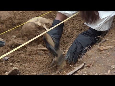 Hands-On Learning for Crime Scene Techniques