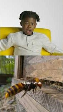 Could they bee any cuter? 🐝 | Secrets Of The Bees | @natgeokids