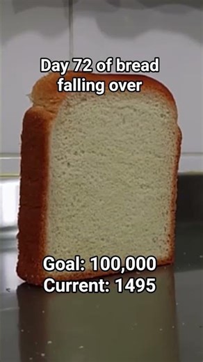 day 72 of bread falling over #bread #falling #over #breadfallingover