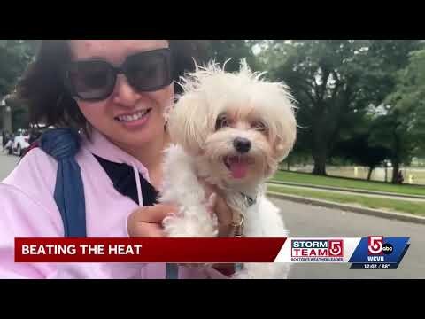 Boston residents find ways to stay cool during excessive heat