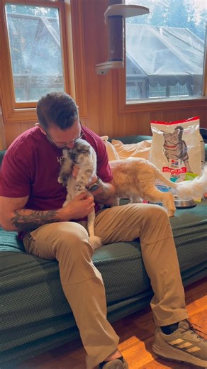 Lee Asher on Instagram: "#Ad This might be the cutest cat we’ve ever welcomed into the cat pack. What do you think? Our friends at @petco hooked us up with all the essentials for a new cat in the house. Treats, toys, litter boxes, but most importantly, scratching posts. Do NOT forget the scratching posts. Trust me. #petco"