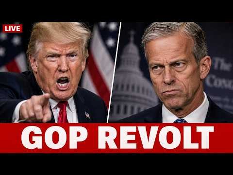 Senate Republicans REVOLT Against Trump's $1.8B 'Anti-Weaponization' Fund