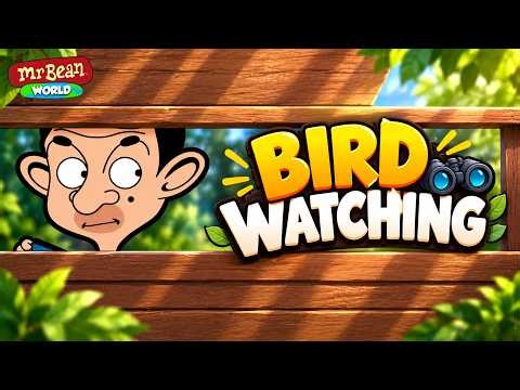 Mr Bean Spends All Day Bird Watching! | 4K | FULL COMPILATION | Mr Bean World