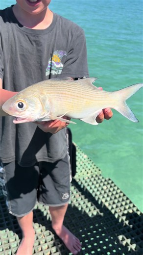 Nice Couple Salmon Fight Hard: 10 Catches in Australia