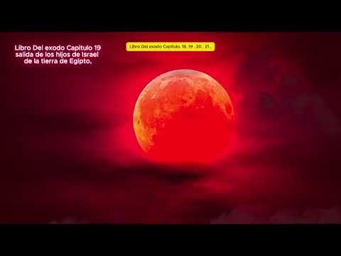 Libro Del Éxodo Capitulo. 18. 19 . 20 . 21 . Libro Del éxodo Capitulo 18 Cántico de Moisés