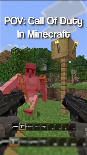 Why Is Call Of Duty In Minecraft 💀😭