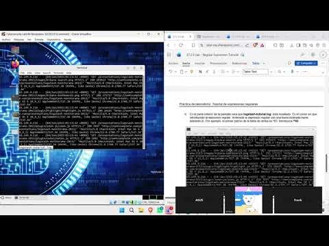 27.2.9 Lab - Regular Expression Tutorial