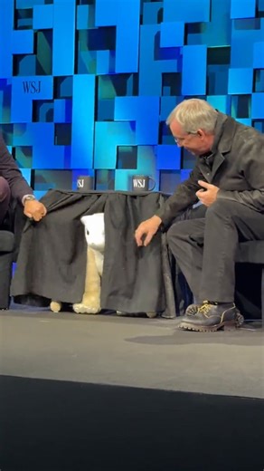 iRobot co-founder Colin Angle unveils his new adorable AI robot