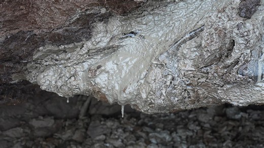 Heat-trapping gas once frozen in Arctic ground is slowly leaking and warming the planet