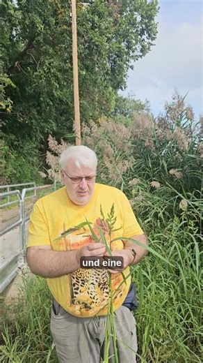 Warum sammeln wir? – Die Bedeutung des Originals Teil 1