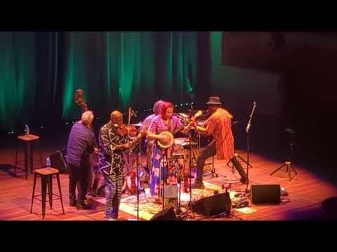 Rhiannon Giddens - Old Corn Liquor [Encore] / Live in Concert (Utrecht, 24 Sep 2026)