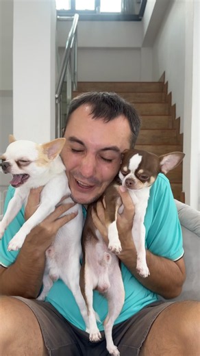 OOPS🥰😂🐶