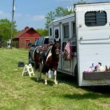 🐴 Black Knuckle Ranch Trail Horse Competition