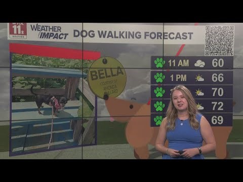 Dog walking forecast: Green paw day despite fog | Good Day on WTOL 11
