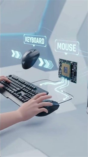 Computer Basics Explained in 3D Animation 💻 | A Beginner’s Guide to Computers