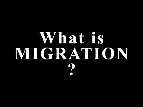 What Is Migration? The Hidden Force That Shapes Nations, Cultures, and the Future