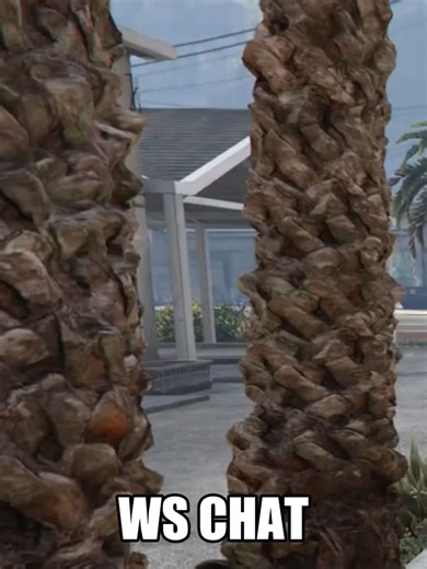 WS Chat FiveM Scripts for Enhanced Roleplay