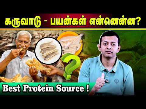 கருவாடு - பயன்கள் என்னென்ன? | Best protein source! | Dr Arunkumar
