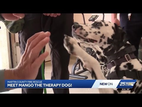 'You just become a more open person': Martin County Fire Rescue gets therapy dog to help with stress