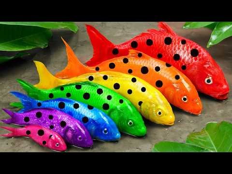 Best Of Small Fish Recipe | MINIATURE Fish Cooking Made EASY with Simple Recipe