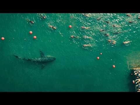 Le jour le plus TERRIFIANT au lac a commencé comme une simple journée de détente | Film horreur