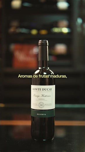 Vinho Tinto Monte Ducay Reserva | Bodega San Valero | Espanha