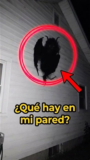 Strange creature caught on camera 😰💀 #scary #paranormal #mothman