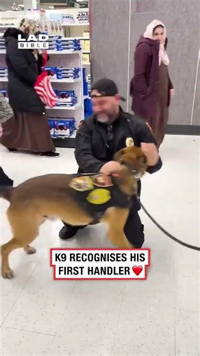 Ive never seen a tail wag so fast ❤️