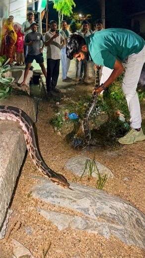 This Python Released a Strange Smell! 😱🐍