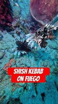 I was on Fuego with the kebabs! #Lionfishextermination #lionfishkebab #boomguy #boom #boomtime