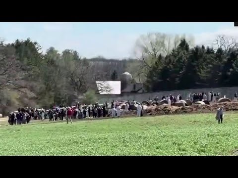 Activists storm Ridglan Farms facility; Dane County sheriff responds | FOX6 News Milwaukee