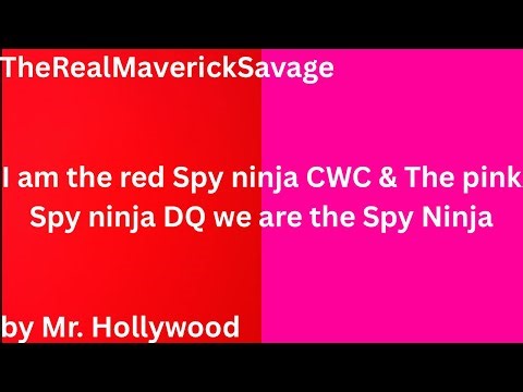 I am the red Spy Ninja CWC & The pink Spy Ninja DQ we are the Spy Ninja