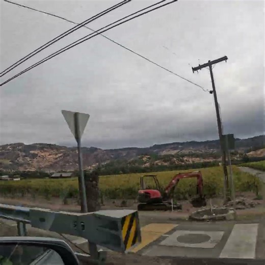 Scenic Drive Through Napa Valley, California 🍇 | California Wine Country