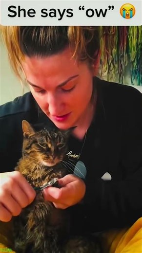 Tiny Kitten runs at full speed - Animal Trend 🌟 Star Cat!