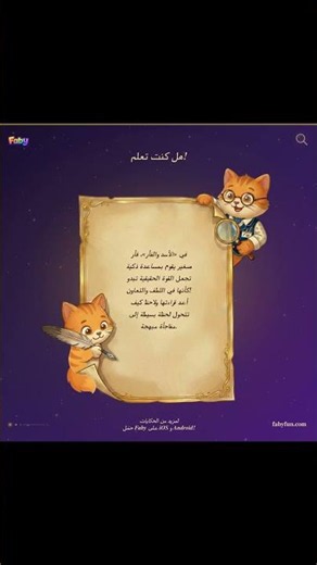 فأر صغير… مفاجأة كبيرة!