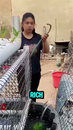 This Girl Built a Mini Eco Farm That Feeds Itself