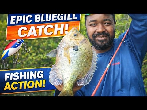 BLUEGILL & SHELLCRACKER FISHING IN EARLY SPRING. (The Bite was on Fire 🔥) #bluegill #fishing