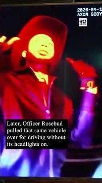 Suspect punches officer during traffic stop