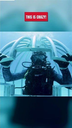 Shark Cage: Feeding sharks can truly be dangerous ⚠️