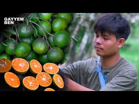 I cooked our entire dinner using DALANDAN(Filipino oranges) | From Tree to Table