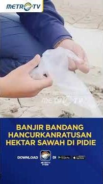 Banjir Bandang Hancurkan Ratusan Hektar Sawah di Pidie, Sektor Pangan Lumpuh #shorts