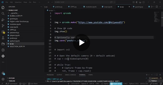 Python QR Code Generation and Automation | Prem Kumar posted on the topic | LinkedIn