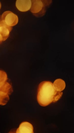 As 2025 comes to a close, we remember just some of those who have died this year. You can listen to Radio 4's weekly obituary programme The Last Word, telling the life stories of those who have died recently, on BBC Sounds. | BBC Radio 4